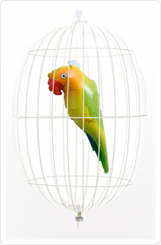 Doppel Folienballon Papagei im Käfig