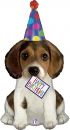 Folienballon Birthday Puppy Hund mit Geburtstagshut