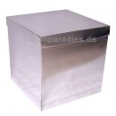 Überraschungsbox Silber